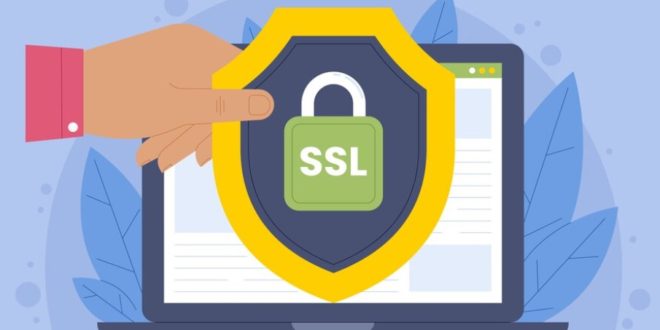 اهمیت SSL و نحوه تهیه آن